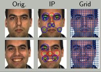 SURF-Face: Face Recognition Under Viewpoint Consistency Constraints